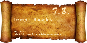 Trungel Benedek névjegykártya
