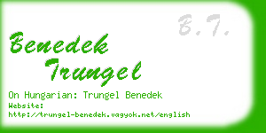 benedek trungel business card